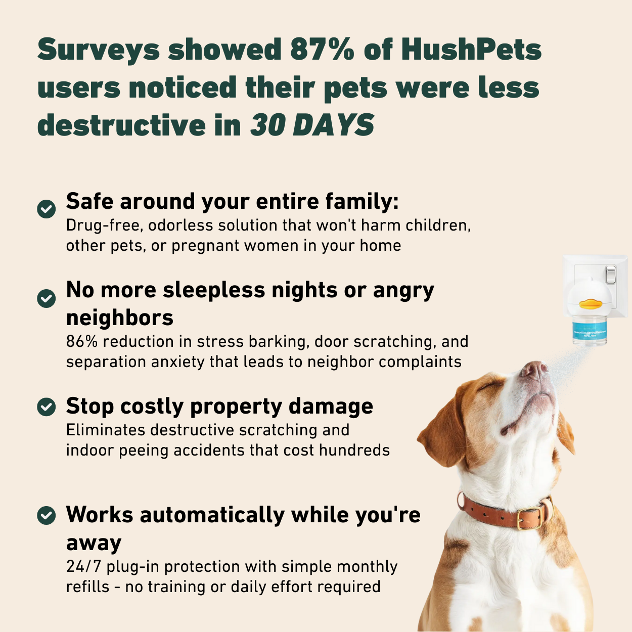 Calm Starts Here: HushPets Diffuser