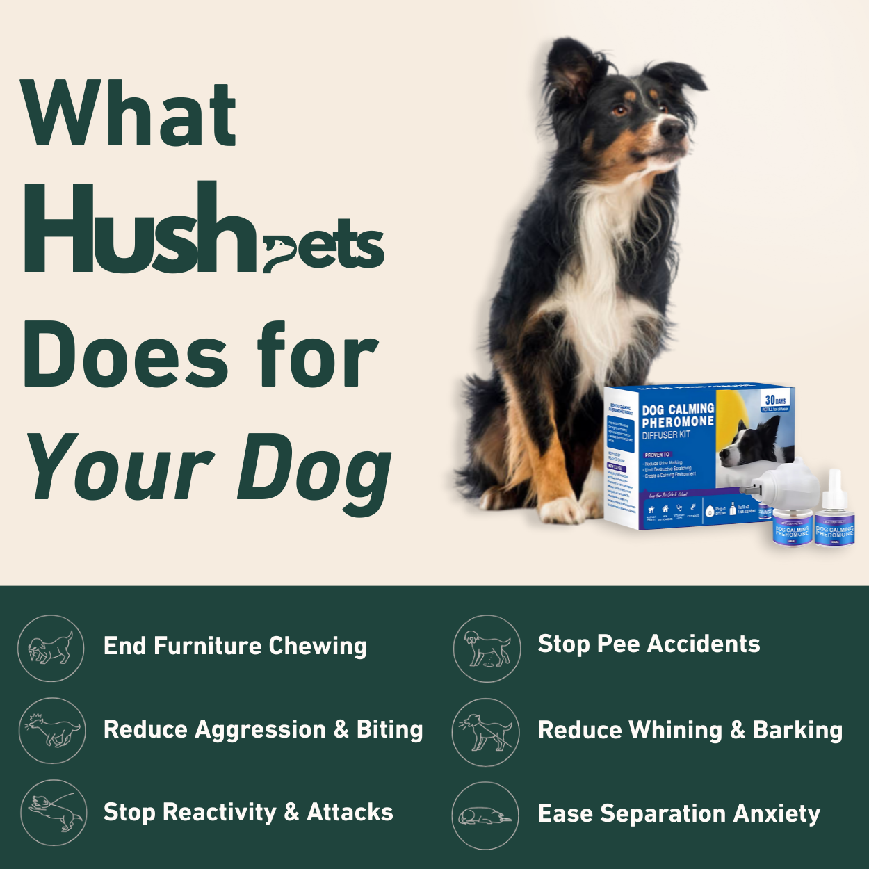 Calm Starts Here: HushPets Diffuser