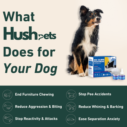 Calm Starts Here: HushPets Diffuser