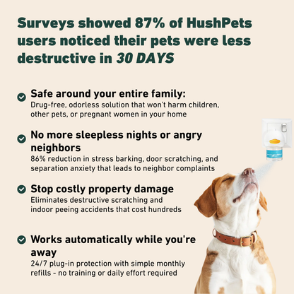 Calm Starts Here: HushPets Diffuser