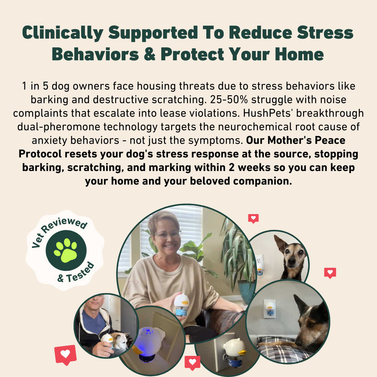 Calm Starts Here: HushPets Diffuser