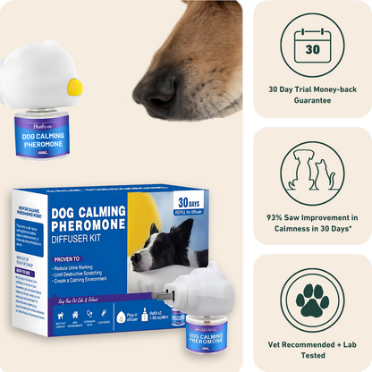 Calm Starts Here: HushPets Diffuser