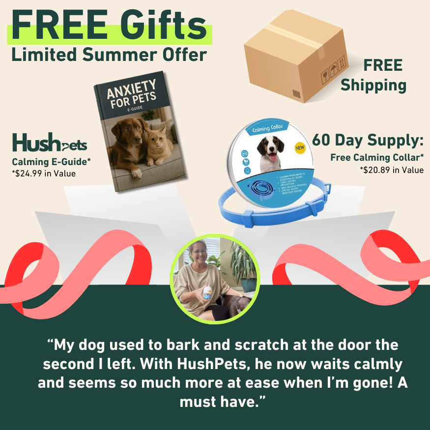 Calm Starts Here: HushPets Diffuser