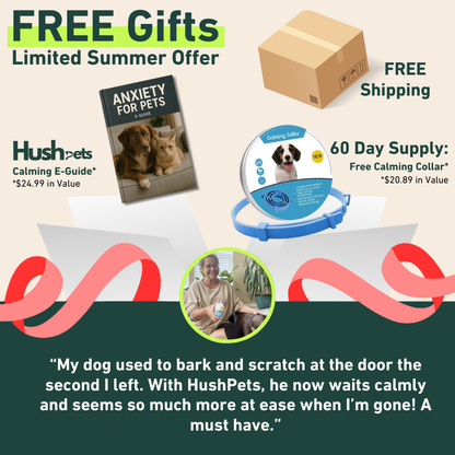 Calm Starts Here: HushPets Diffuser